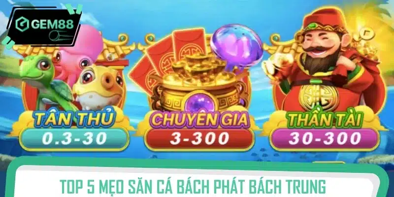 Top 5 mẹo săn cá bách phát bách trung dành cho Newbie