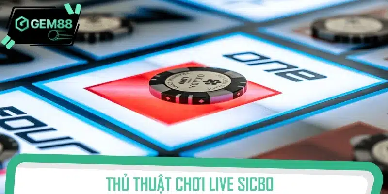 Đừng quên việc theo dõi kết quả để phân tích chuỗi cầu chuẩn xác